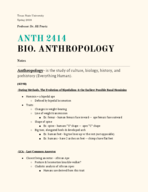 ANTH2414, Week 11