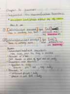 (Puntos de Partido) Chapter 16 Grammar