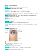 Human Anatomy Week 12 Notes