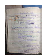 Bio1802_Chapter30/31