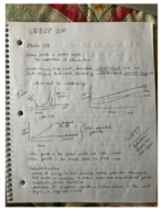 URBDP 200 week 1
