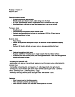 Anatomy exam 2 study guide