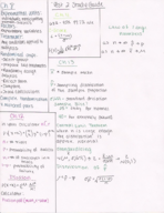 Biological Statistics Exam 2 Study Guide