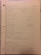 MAC1147 Class Notes for Week 11