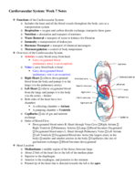 Biol 129 Week 7 Notes