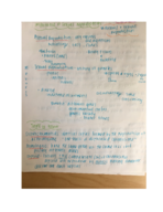 Biology 01: Week 11 Notes