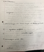 Art History Week 14 Notes