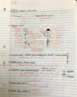 week 1 notes