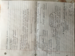 Accounting notes- chapter 3
