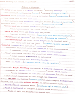 Political Philosophy II Week 12 Notes