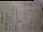 Week 10 Notes
