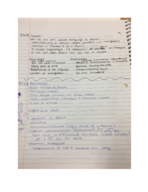 french linguistics wk 13 notes