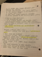 Hist 106