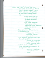 Micro chapter notes