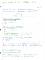 CHEM 1155
