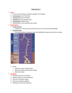 KIN 491 Respiration pt 1