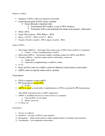 Second half of unit 6