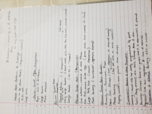 Anthropology 1102, Week 4 notes