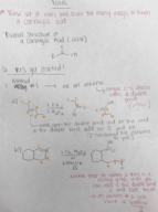 Carboxylic Acid, Week 5 Notes