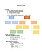 Anatomy & Physiology Final Exam Study Guide