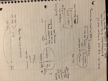 FINC 300: week 3 notes