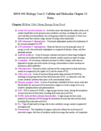 BIOS 41 Chapter 13 Notes