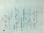 Organic Chemistry Notes