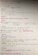 week 1 lectures continued