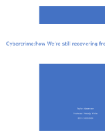 BCIS Computer Crime Notes