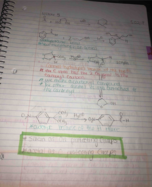 CHM 2220 Week 3 Notes 