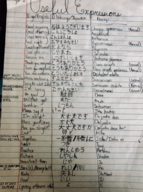 Useful Expressions: Elementary Japanese