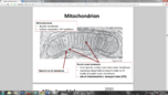 Unit 3 Diagrams