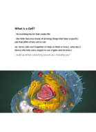 week 1 physics