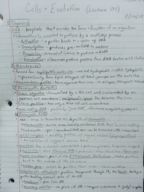 MBB 374 Lecture 2 Notes