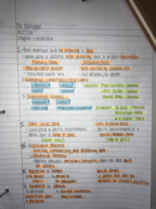 ECON 206 Week 1 Notes