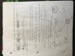 Genetics Week 2