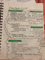 Biochem week 2 notes