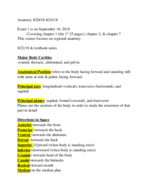 Anatomy (Zoo3733C)