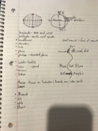 Geo 209-01 week 1