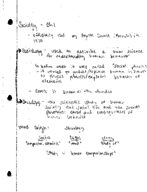 Sociology Notes Chapter 1