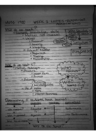 Music Ed week 1