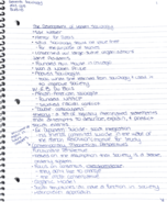 Sociology Class Notes