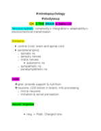 week 2 notes