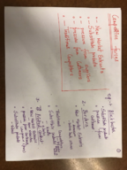 INFO 3130 week 2 notes