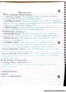 POLS STATE & LOCAL GOVERNMENT - WEEK 3 NOTES