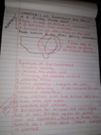 Chapter 1: U.S. government and politics in a racially divided world
