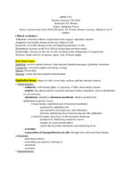 Chapter 3 Epithelial Tissues
