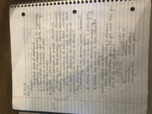 Week 2 Notes: Realism