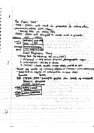 COMM 1500 Week 3 Notes