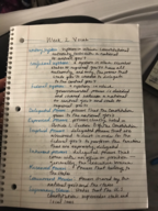 Week 2 Vocab